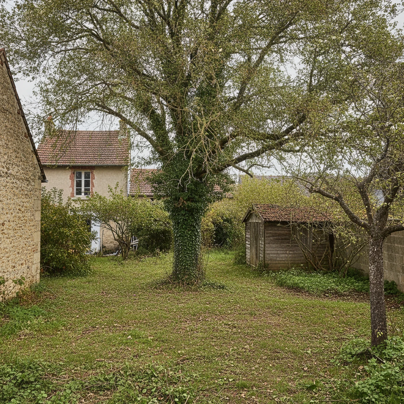 Peuplier sécurisé après démontage contrôlé par cordes à Saint-Serge Angers