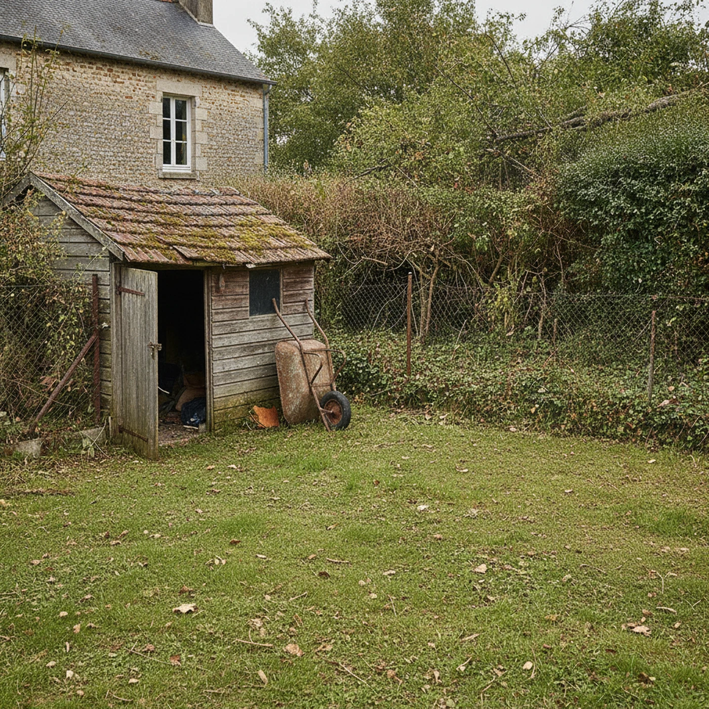 Cour dégagée après abattage contrôlé d'un arbre dangereux à La Doutre Angers